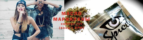 индика Волосово