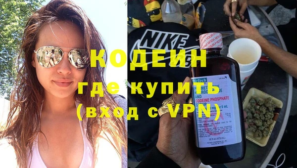 твердый Вяземский
