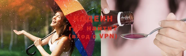 твердый Вяземский