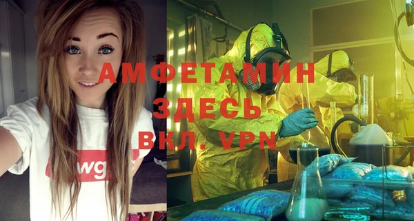 твердый Вяземский