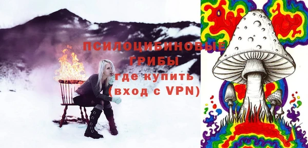 ПСИЛОЦИБИНОВЫЕ ГРИБЫ Горнозаводск