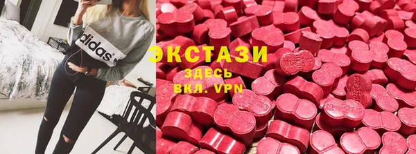дживик Вязьма