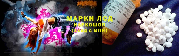 ПСИЛОЦИБИНОВЫЕ ГРИБЫ Горнозаводск